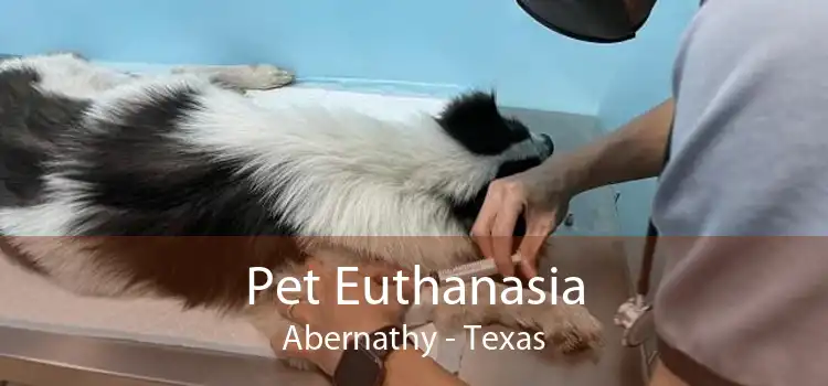 Pet Euthanasia Abernathy - Texas