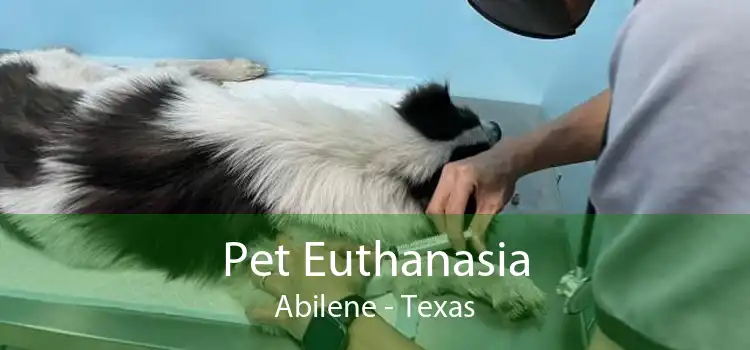 Pet Euthanasia Abilene - Texas