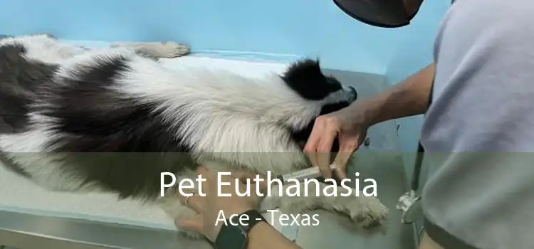 Pet Euthanasia Ace - Texas