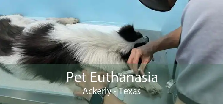 Pet Euthanasia Ackerly - Texas