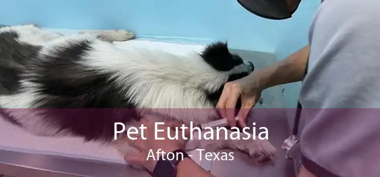 Pet Euthanasia Afton - Texas