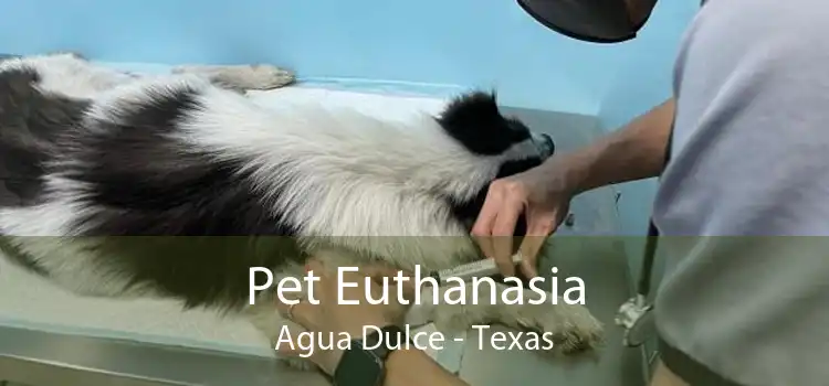 Pet Euthanasia Agua Dulce - Texas