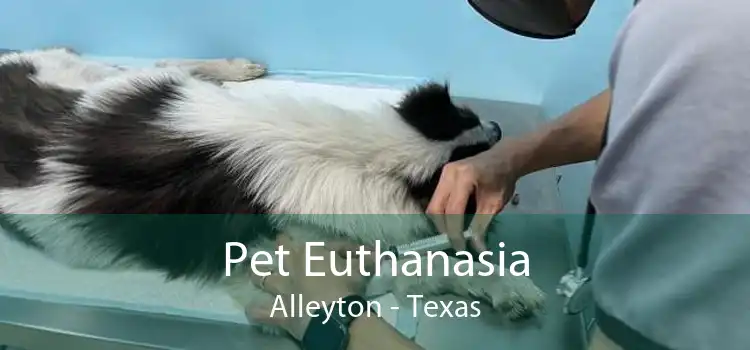 Pet Euthanasia Alleyton - Texas