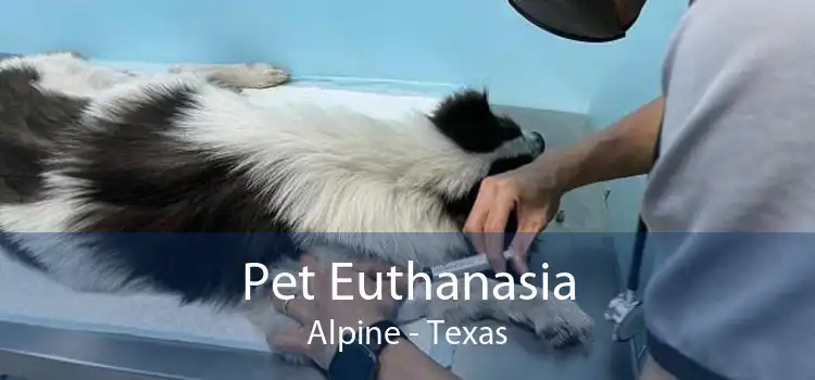 Pet Euthanasia Alpine - Texas