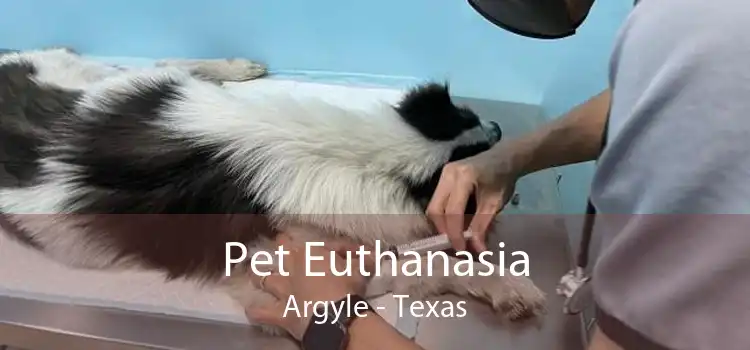 Pet Euthanasia Argyle - Texas