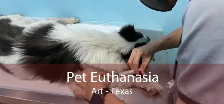 Pet Euthanasia Art - Texas