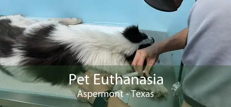 Pet Euthanasia Aspermont - Texas