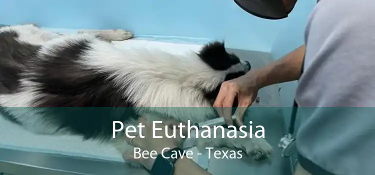 Pet Euthanasia Bee Cave - Texas