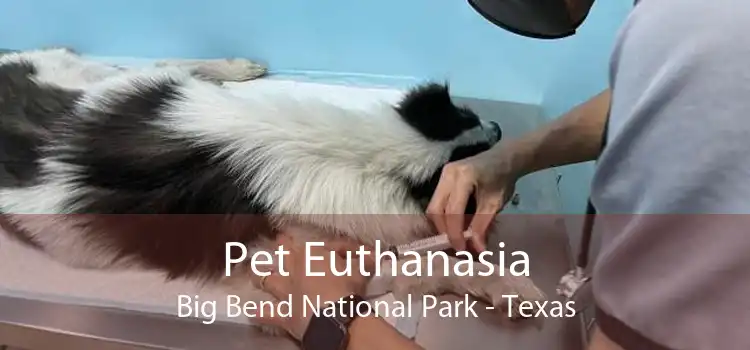 Pet Euthanasia Big Bend National Park - Texas