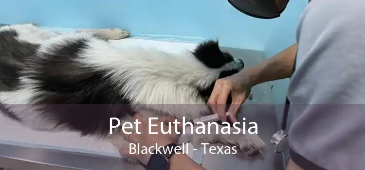 Pet Euthanasia Blackwell - Texas