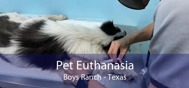 Pet Euthanasia Boys Ranch - Texas