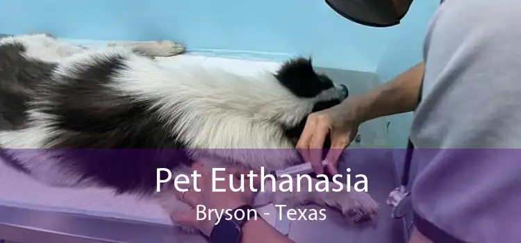 Pet Euthanasia Bryson - Texas