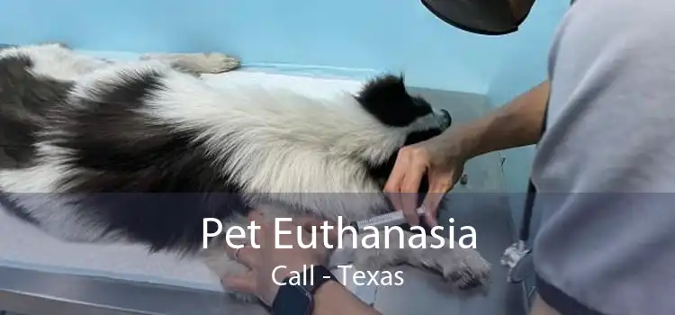 Pet Euthanasia Call - Texas