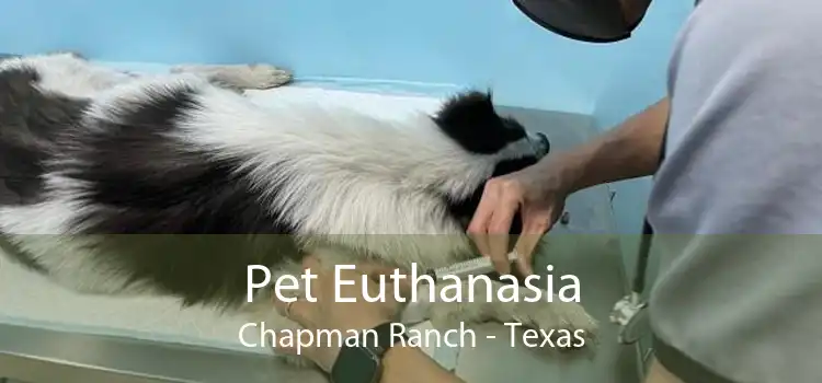 Pet Euthanasia Chapman Ranch - Texas