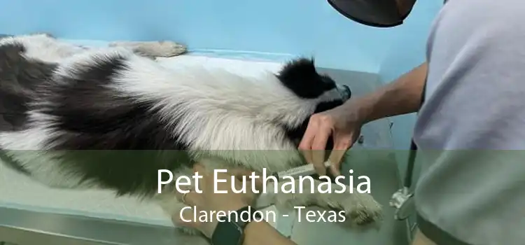 Pet Euthanasia Clarendon - Texas