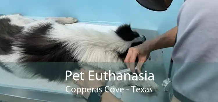 Pet Euthanasia Copperas Cove - Texas