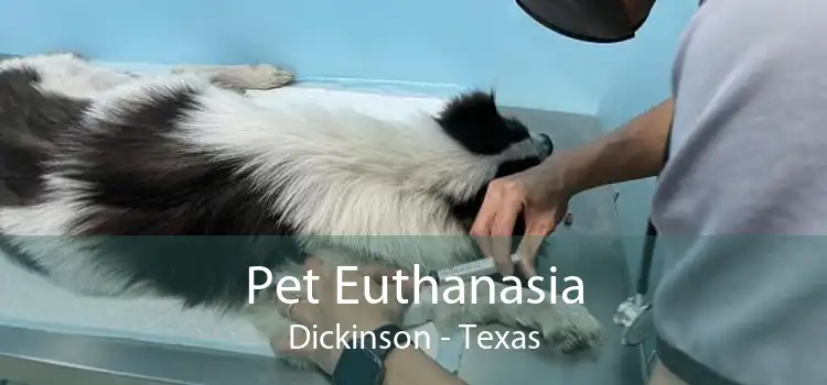 Pet Euthanasia Dickinson - Texas