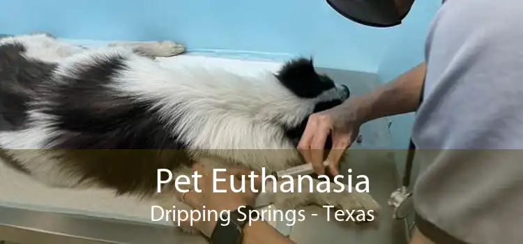 Pet Euthanasia Dripping Springs - Texas