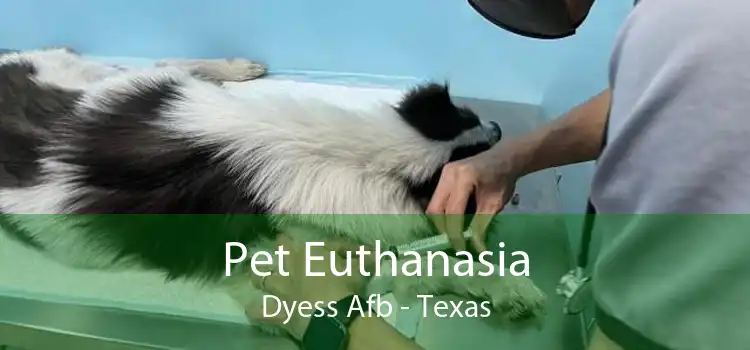 Pet Euthanasia Dyess Afb - Texas