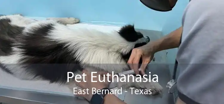 Pet Euthanasia East Bernard - Texas