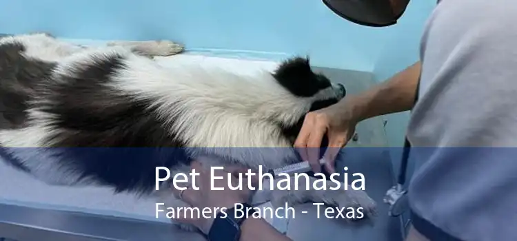 Pet Euthanasia Farmers Branch - Texas