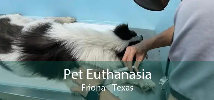 Pet Euthanasia Friona - Texas