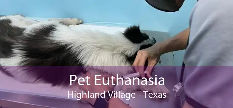 Pet Euthanasia Highland Village - Texas