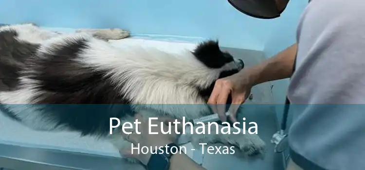 Pet Euthanasia Houston - Texas