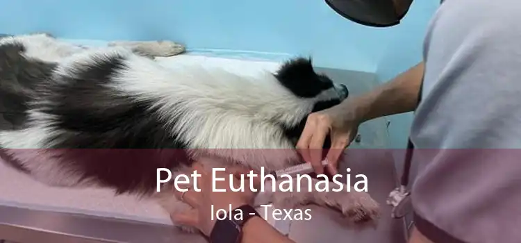 Pet Euthanasia Iola - Texas