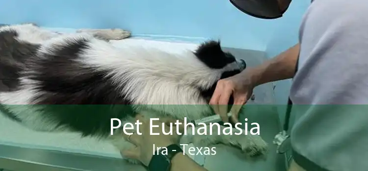 Pet Euthanasia Ira - Texas