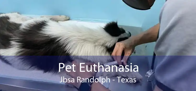 Pet Euthanasia Jbsa Randolph - Texas