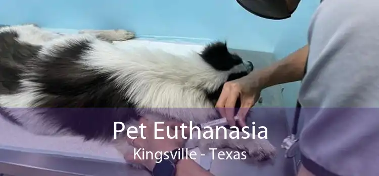 Pet Euthanasia Kingsville - Texas