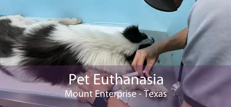 Pet Euthanasia Mount Enterprise - Texas