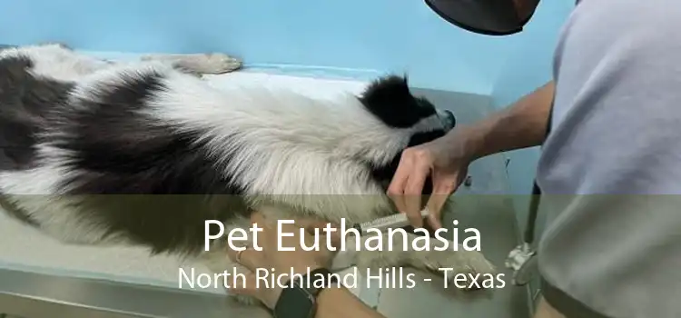 Pet Euthanasia North Richland Hills - Texas