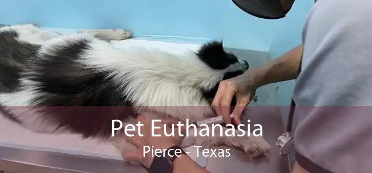Pet Euthanasia Pierce - Texas