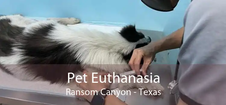 Pet Euthanasia Ransom Canyon - Texas