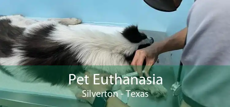 Pet Euthanasia Silverton - Texas