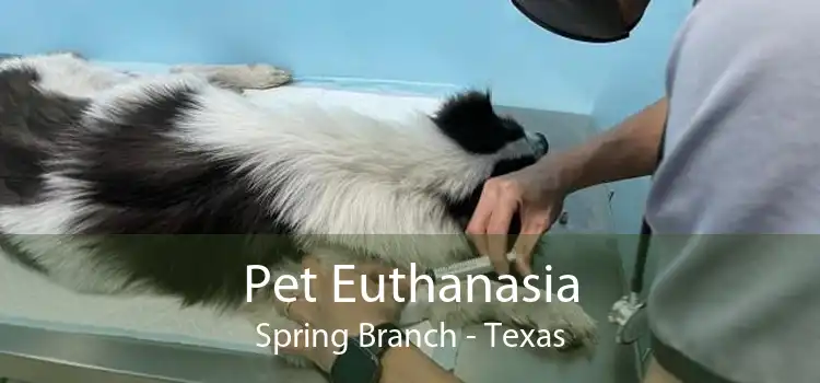 Pet Euthanasia Spring Branch - Texas