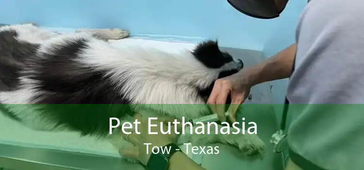 Pet Euthanasia Tow - Texas