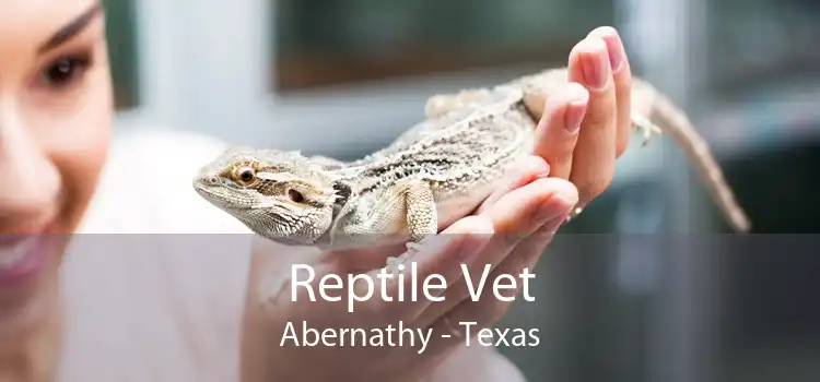 Reptile Vet Abernathy - Texas