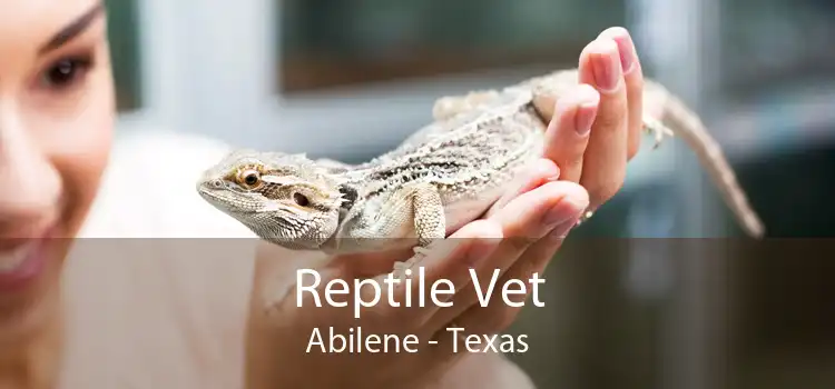 Reptile Vet Abilene - Texas