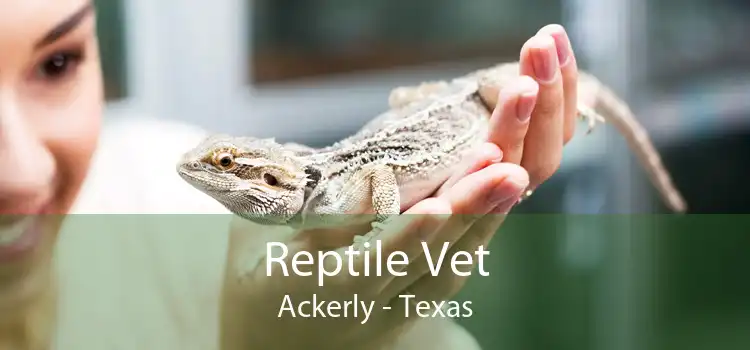 Reptile Vet Ackerly - Texas