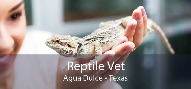 Reptile Vet Agua Dulce - Texas