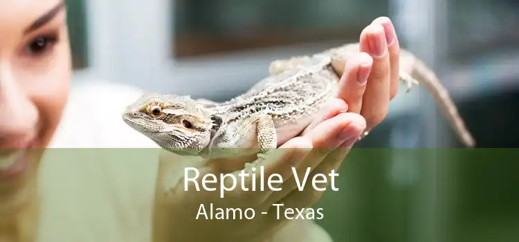 Reptile Vet Alamo - Texas