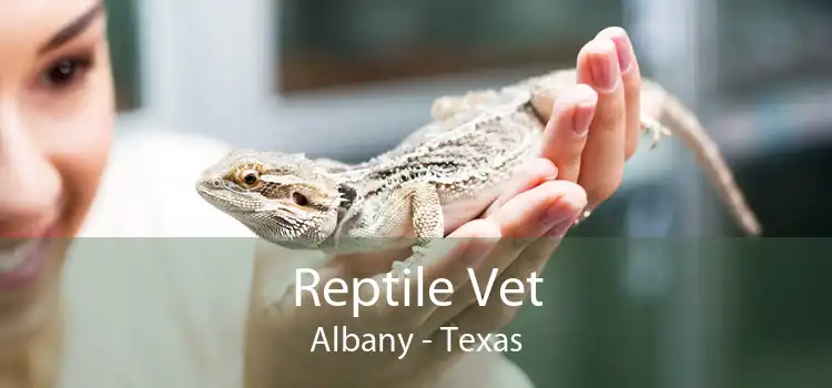 Reptile Vet Albany - Texas