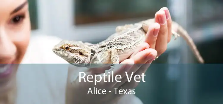 Reptile Vet Alice - Texas