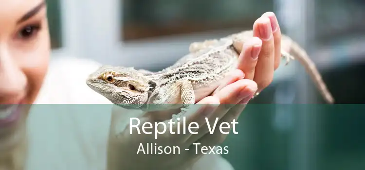 Reptile Vet Allison - Texas