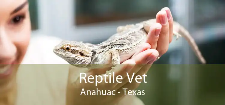 Reptile Vet Anahuac - Texas