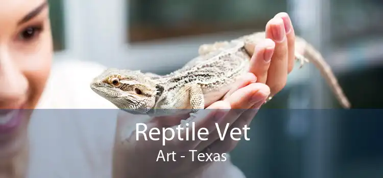 Reptile Vet Art - Texas