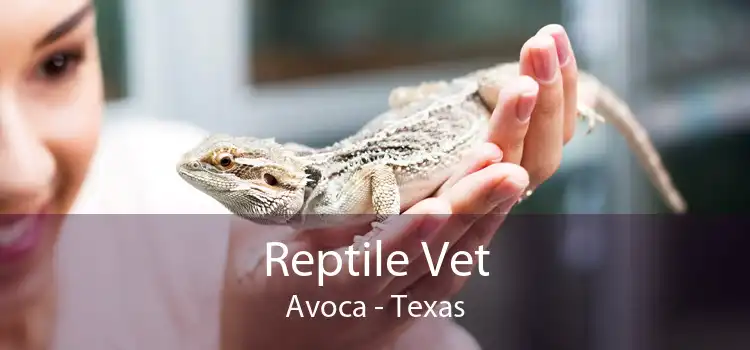 Reptile Vet Avoca - Texas